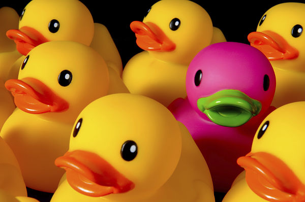 what are the core values of your business?